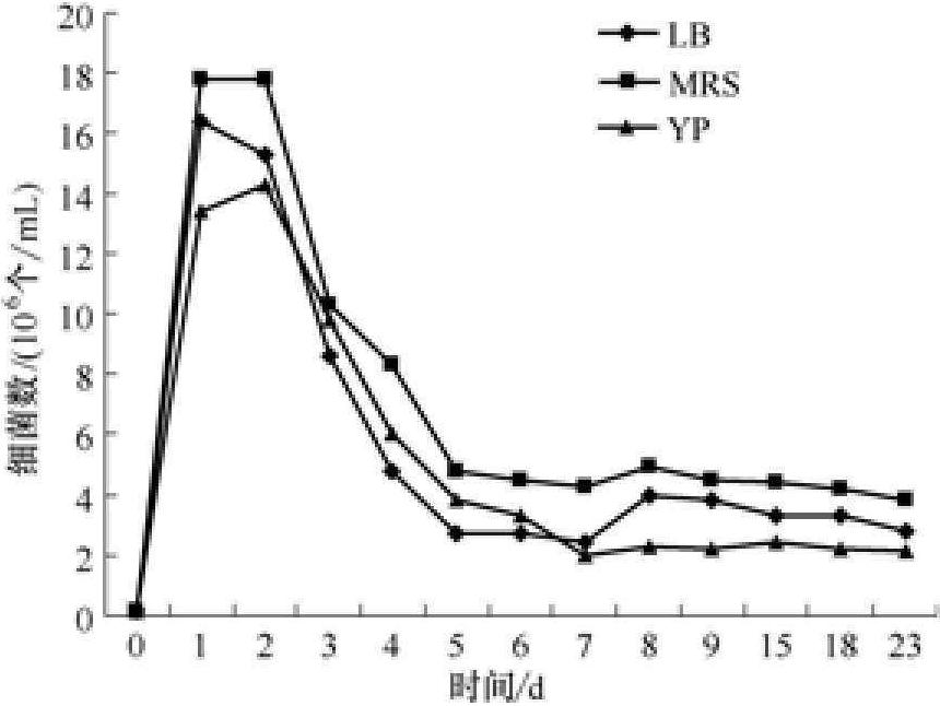 三、黃酒發(fā)酵過程中的微生物變化